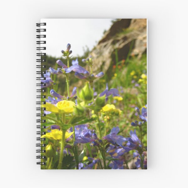 Item preview, Flower - Mt. Evans, Colorado designed and sold by Nina Brandin.