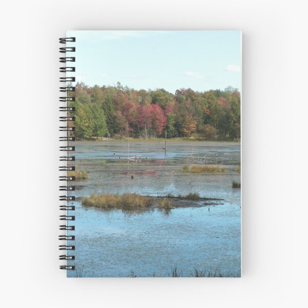 Artikelvorschau, Tooley Pond Marsh entworfen und verkauft von linmarie.