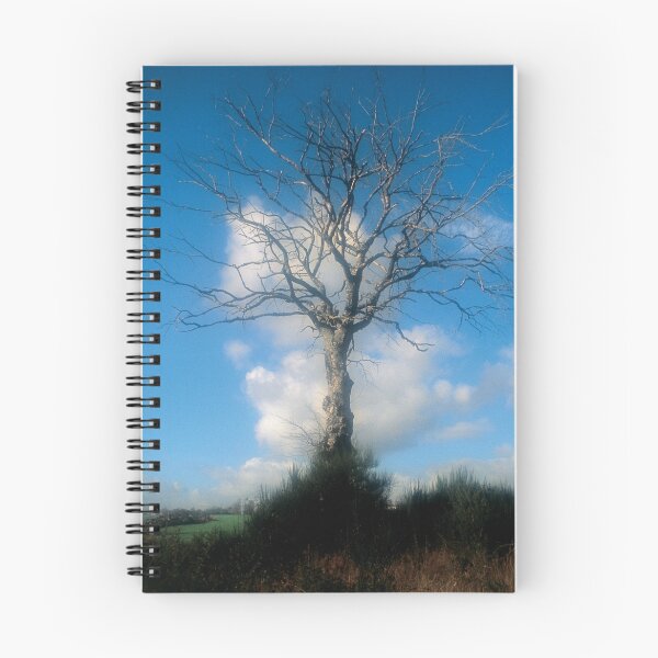 Item preview, Tree of Life designed and sold by Blake Steele.