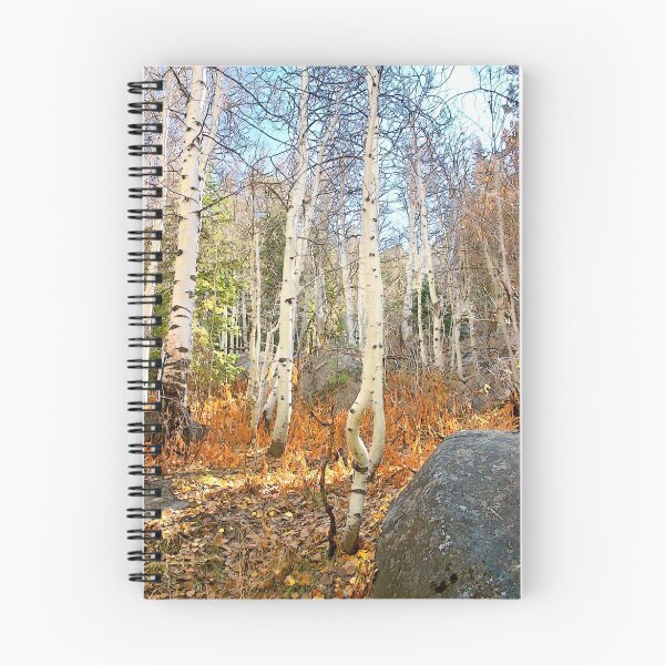 Item preview, Dancing Aspens - Trees Lake Tahoe, California designed and sold by Larry Darnell.