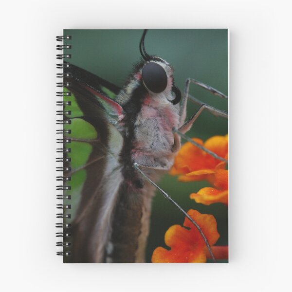Item preview, Up close & personal designed and sold by Lindie Allen.
