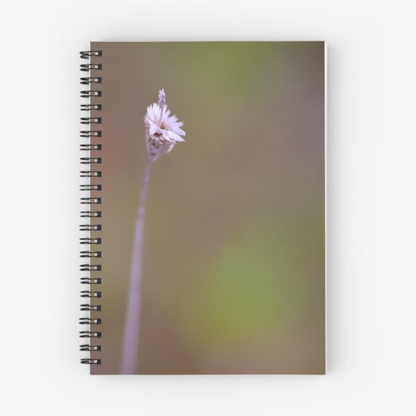 Item preview, Tinkerbell designed and sold by Jessica Dzupina.
