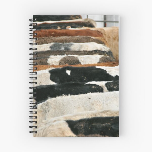 Item preview, Cow hide texture designed and sold by Catherine Ames.