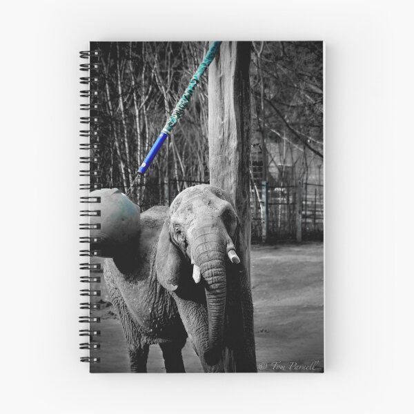 Item preview, Disheartening Distraction designed and sold by Parnellpictures.