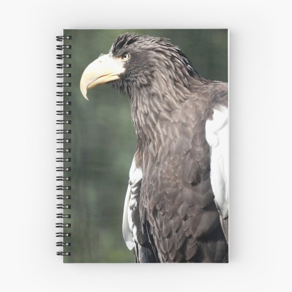 Item preview, Steller's Sea Eagle  designed and sold by Cathy Grieve.