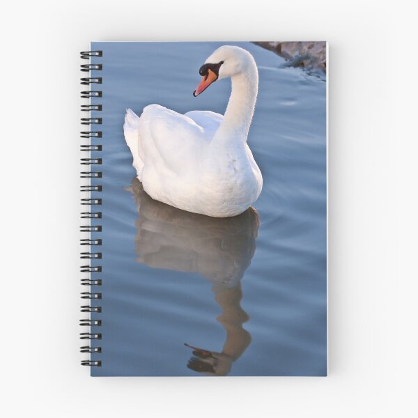 Item preview, Graceful mute swan designed and sold by Martyn Franklin.