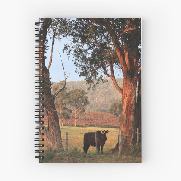 Artikelvorschau,  Tasmanien.

! http: //ih2.redbubble.net/work.6143045.2.lp entworfen und verkauft von Asoka.