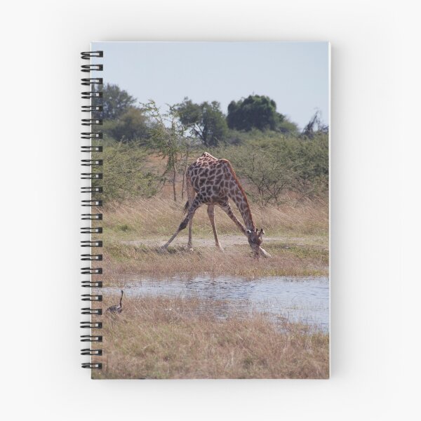 Item preview, Stretch! Moremi Game Reserve, Botswana, Africa designed and sold by Adrian Paul.