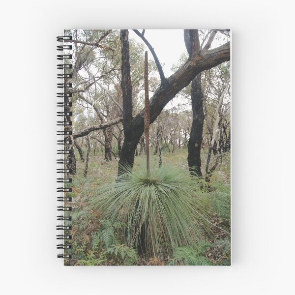 Aperçu de l'œuvre Anglesea bush walk créée et vendue par trishringe.