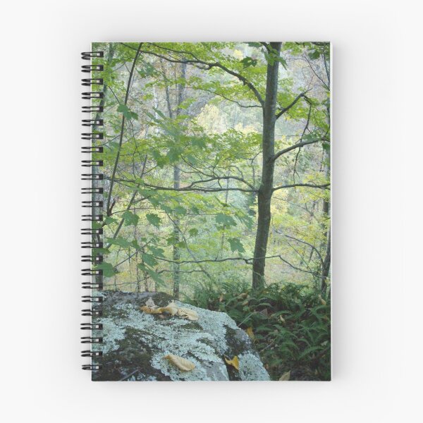 Artikelvorschau, Mountain Lookout (Floyd Co., KY) entworfen und verkauft von Cari Moore.