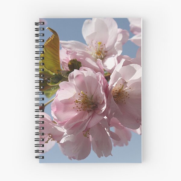 Artikelvorschau, Kirschblüte entworfen und verkauft von Filifjonka.