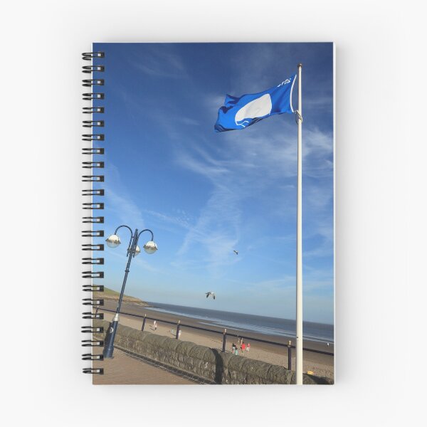 Aperçu de l'œuvre Blue Flag, Barry Island créée et vendue par Chris Ware.