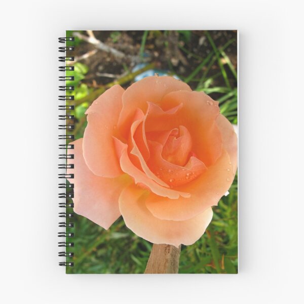 Item preview, Euphoric Rose designed and sold by MarianBendeth.