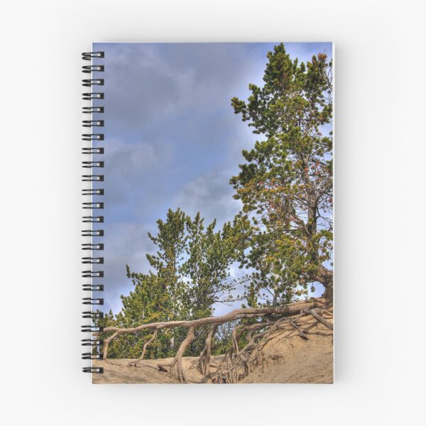 Item preview, Conifer roots designed and sold by zumi.