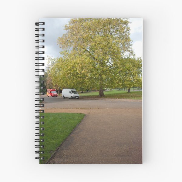 Item preview, Autumn Oak Tree: Dulwich Park London, UK. designed and sold by DonDavisUK.