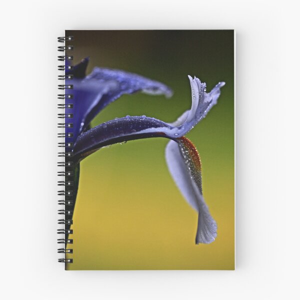 Item preview, "Dutch Iris..." designed and sold by Rosehaven.