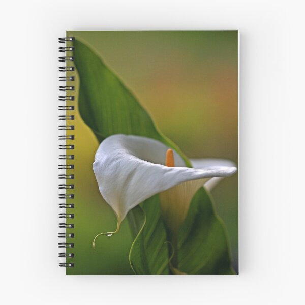 Item preview, "Arum Lily..." designed and sold by Rosehaven.