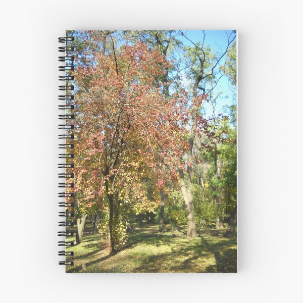 Item preview, Autumn in the Park. designed and sold by Vitta.