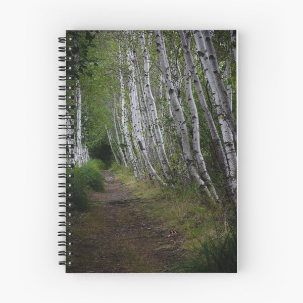Item preview, Birch Path - Sieur de Monts designed and sold by boarlord.