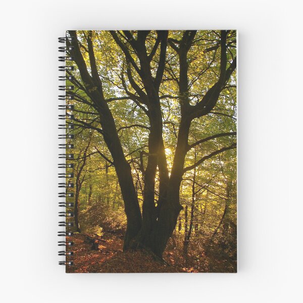 Item preview, Autumn Woods designed and sold by Mike  Waldron.