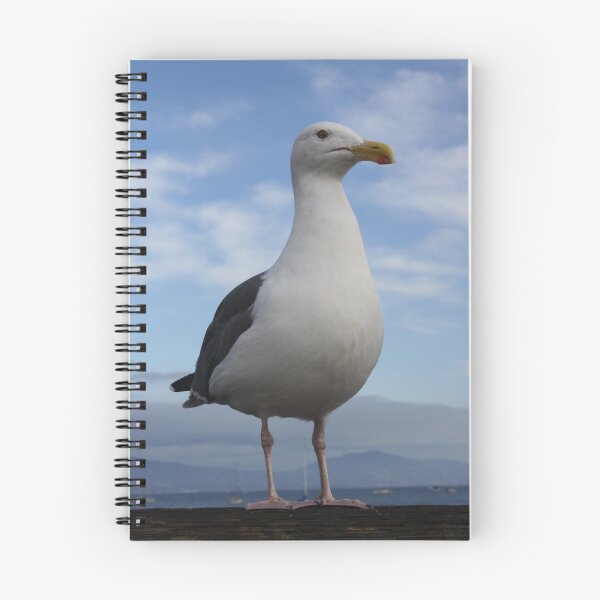 Item preview, Admiral Seagull designed and sold by Corri Gryting Gutzman.