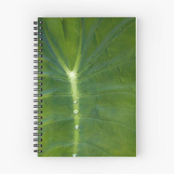 Item preview, Raindrops trickling down my spine.... designed and sold by anniek1947.