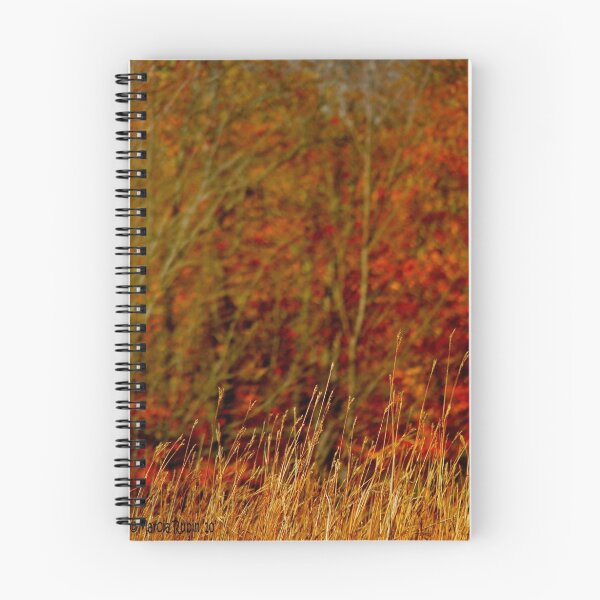 Item preview, Red Fields designed and sold by Marcia Rubin.