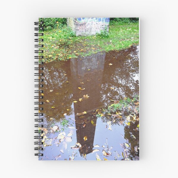 Item preview, Reflective Moment designed and sold by Braedene.