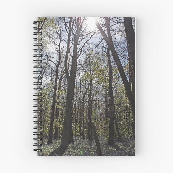 Item preview, Bluebell Woods, Panorama designed and sold by Mark Bird.