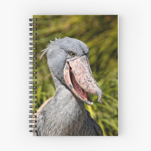Item preview, Shoebill designed and sold by TeresaB.