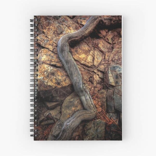 Artikelvorschau, Root Snake entworfen und verkauft von Bob Larson.