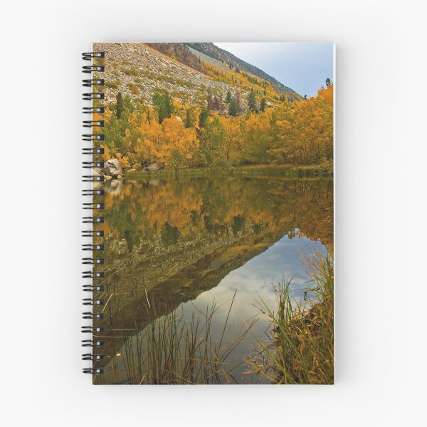 Item preview, Bishop Roadside Reflection designed and sold by photosbyflood.