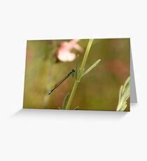 Green on Green Greeting Card