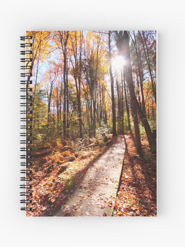 Thumbnail 1 of 3, Journal, Forest Boardwalk designed and sold by spaterson.