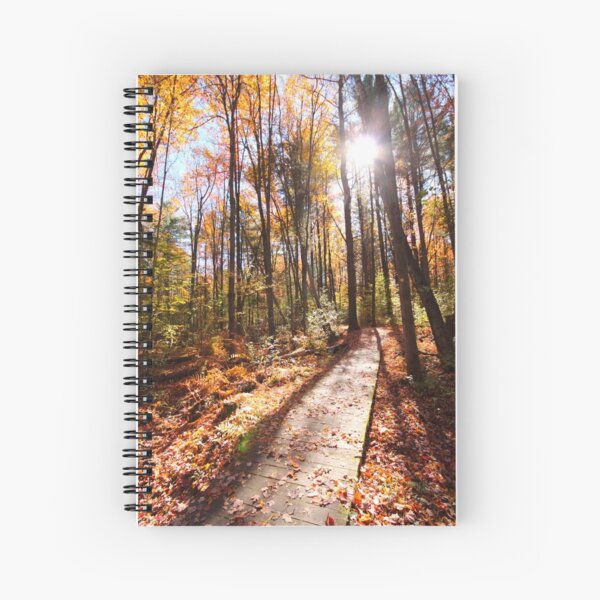 Forest Boardwalk Spiral Notebook