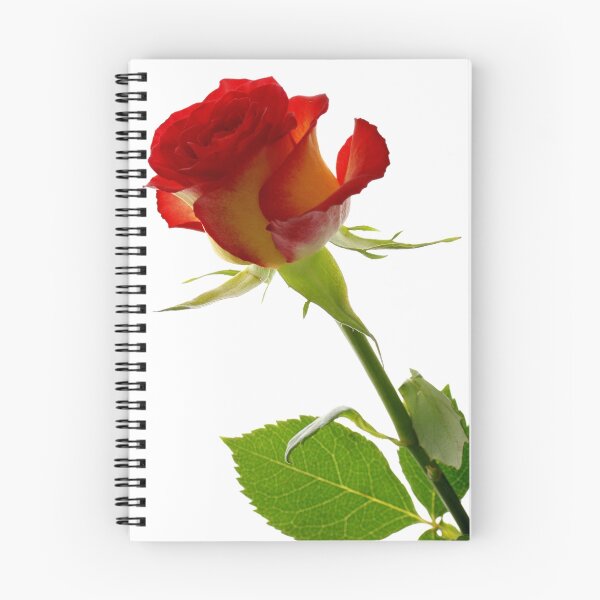 Item preview, Rose - Impressions # 2 designed and sold by Ronny Falkenstein.