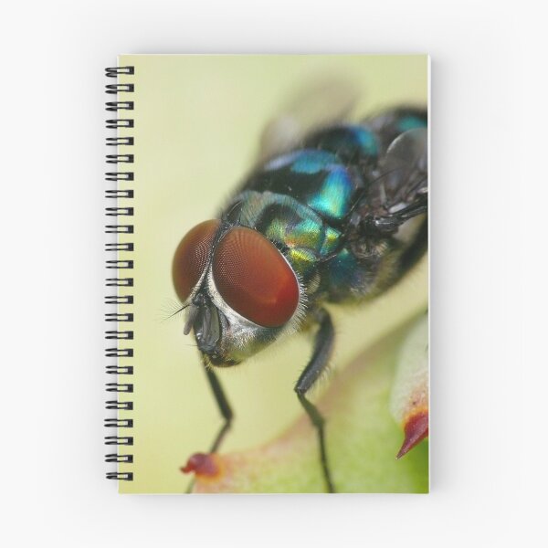 Item preview, Copper-tailed blowfly designed and sold by Etwin.
