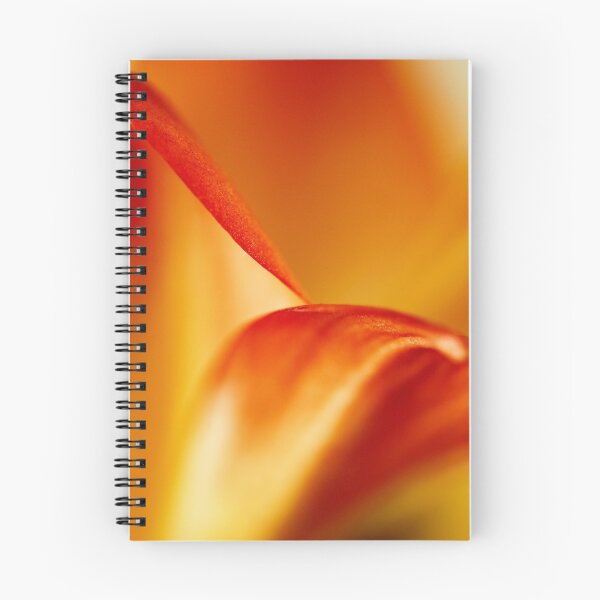 Item preview, Beauty Is Timeless designed and sold by Ronny Falkenstein.