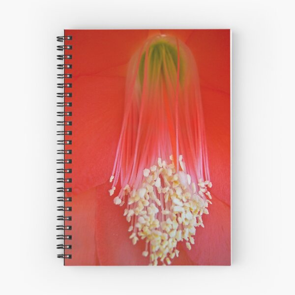 Artikelvorschau, cacti flower  entworfen und verkauft von Helenvandy.