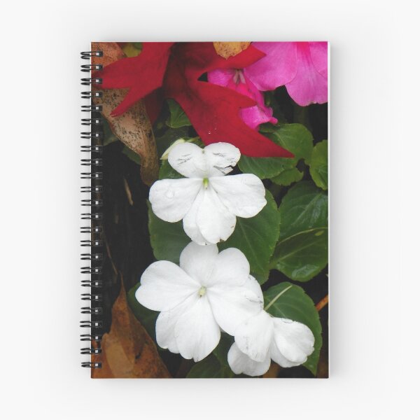 Artikelvorschau, A pretty white flower for all my friends. entworfen und verkauft von David  Hughes.