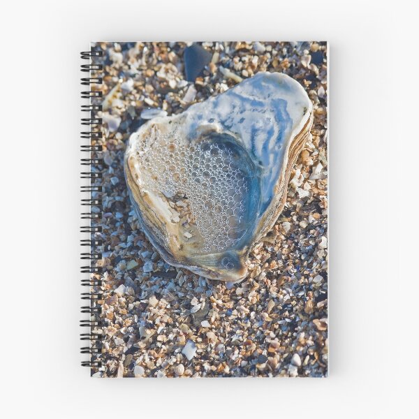 Item preview, Seashell with Bubbles designed and sold by Philip Bateman.