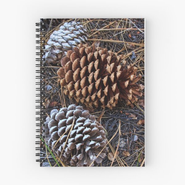 Item preview, Pinecones designed and sold by Anne McKinnell.