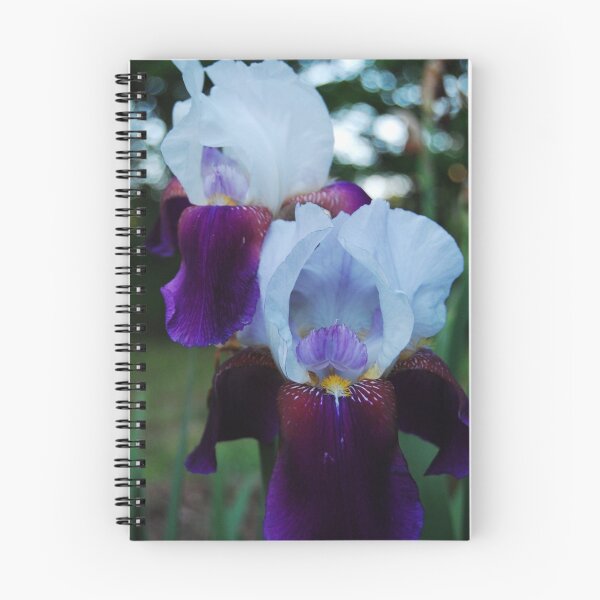 Item preview, iris in the eveing designed and sold by RDRAKEPERKINSON.