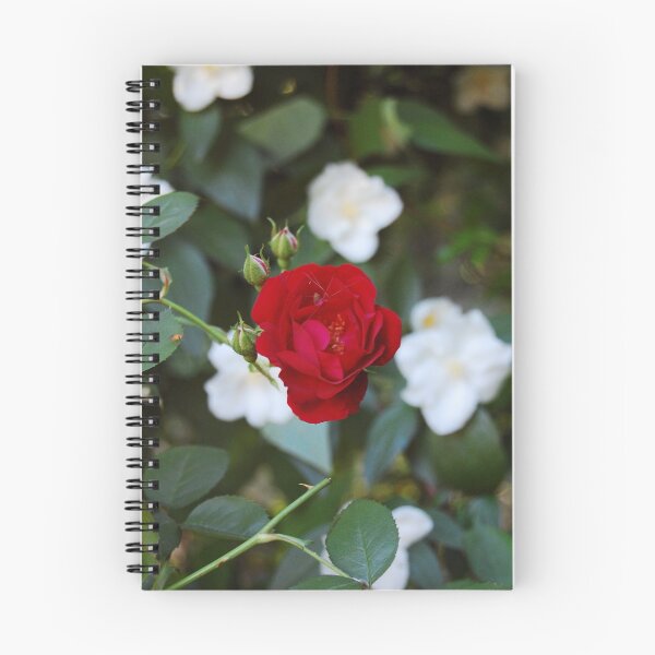 Item preview, mock orange and roses designed and sold by RDRAKEPERKINSON.