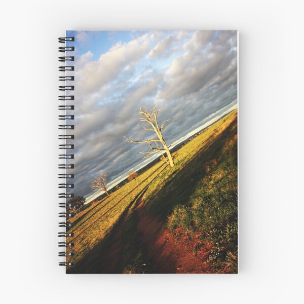 Aperçu de l'œuvre outback looks créée et vendue par Johannes  Sudbrink.