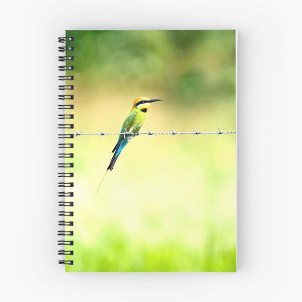 Item preview, Bird on a wire - bee eater designed and sold by Jenny Dean.