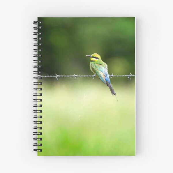 Item preview, Rainbow Bee-eater designed and sold by Jenny Dean.