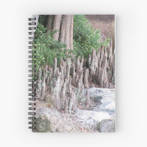 Item preview, Roots designed and sold by Picture-It.