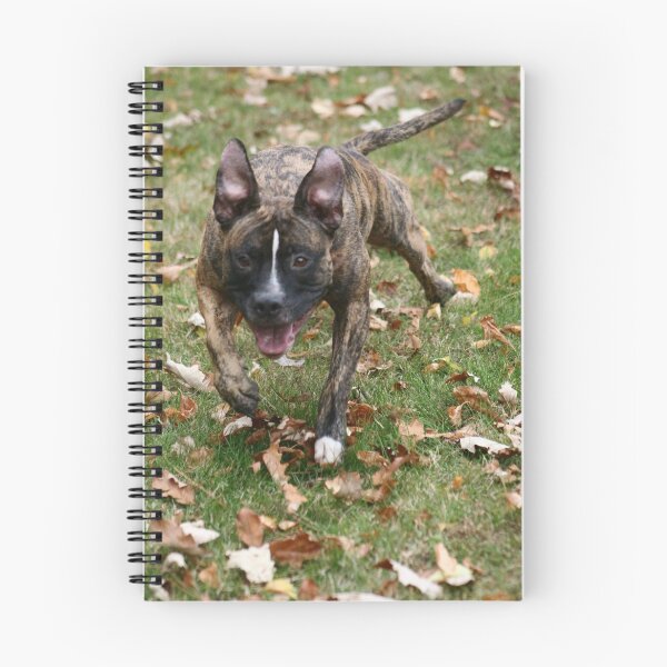 Item preview, Oh what's that! designed and sold by Alexandra Wise-Brogna.