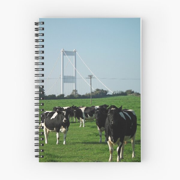 Artikelvorschau, Not a Severn bridge pastoral scene entworfen und verkauft von buttonpresser.